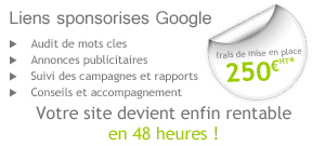 referencement google Adwords